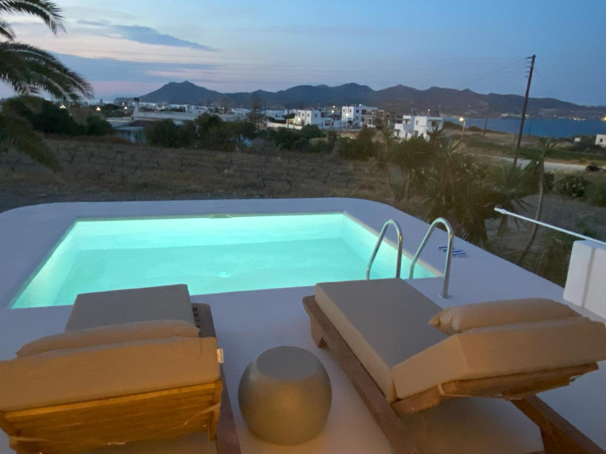 Kostantakis Winery Estate Guest House Pollonia Exterior photo