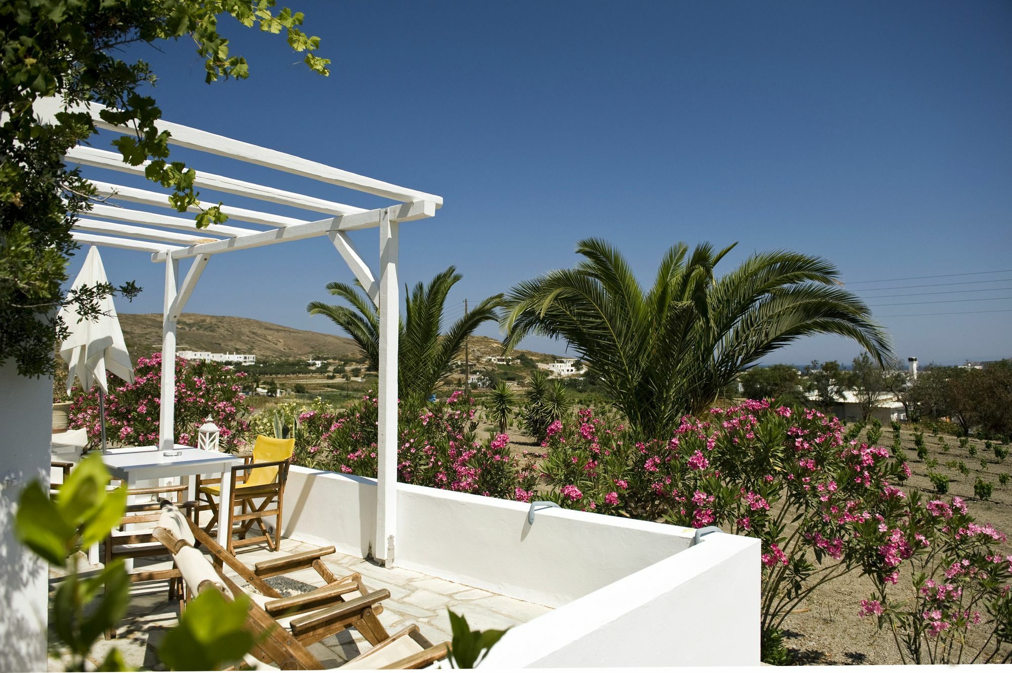 Kostantakis Winery Estate Guest House Pollonia Exterior photo